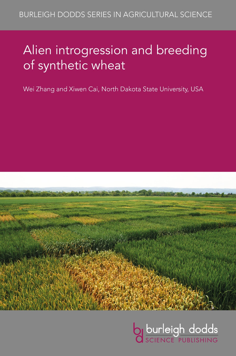 Book cover image for Alien introgression and breeding of synthetic wheat ISBN: 9781838798208