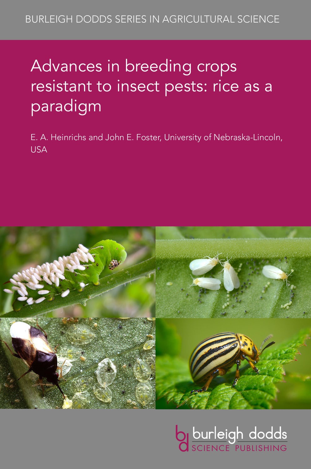 Book cover image for Advances in breeding crops resistant to insect pests: rice as a paradigm ISBN: 9781838799427