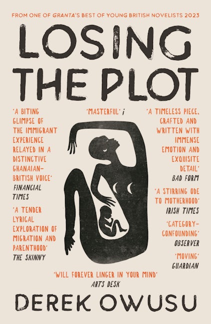 Book cover image for Losing the Plot ISBN: 9781838855642