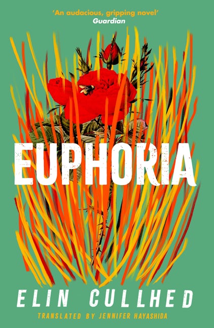 Book cover image for Euphoria ISBN: 9781838855994