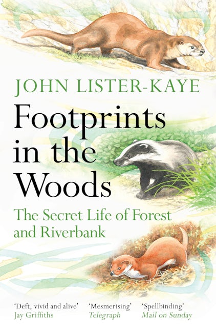 Book cover image for Footprints in the Woods ISBN: 9781838858803