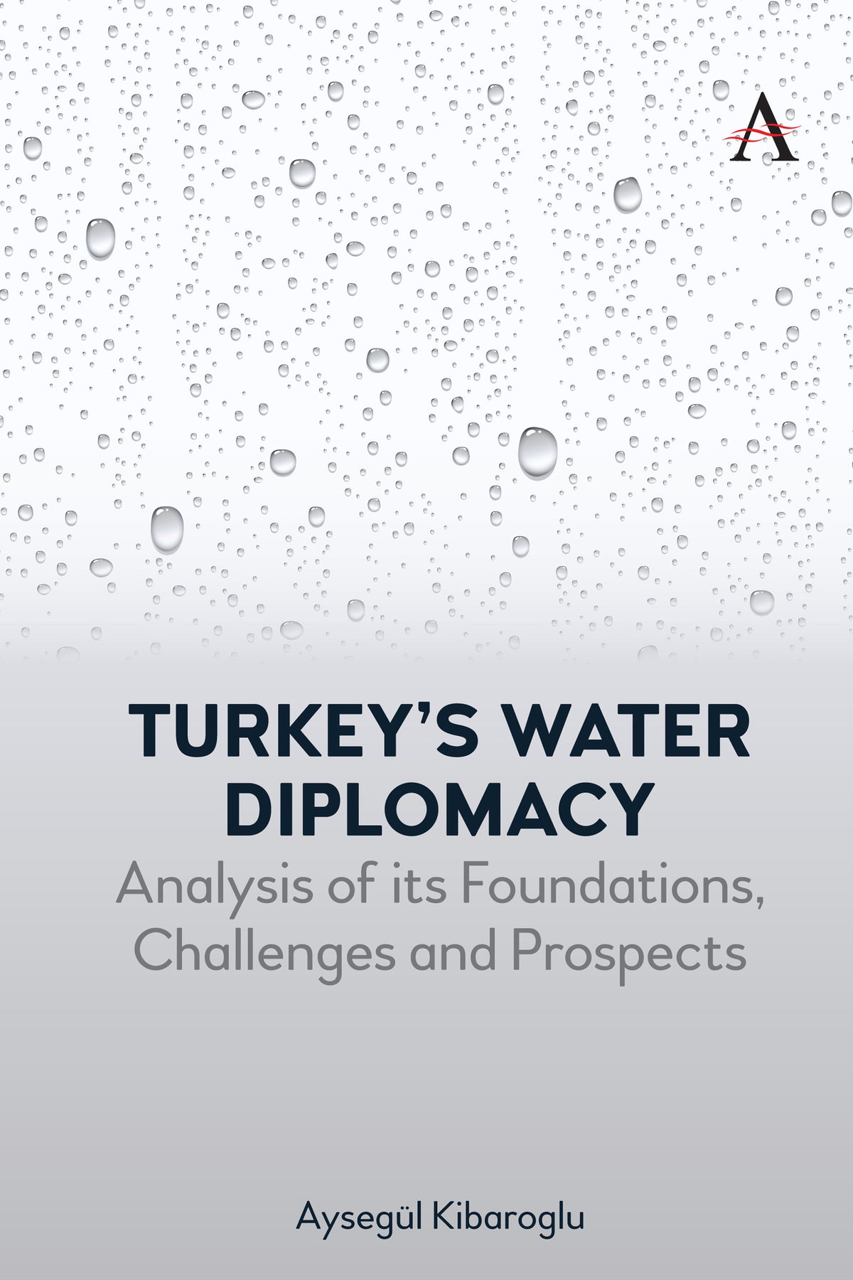 Cover image for Turkey’s Water Diplomacy ISBN 9781839994753