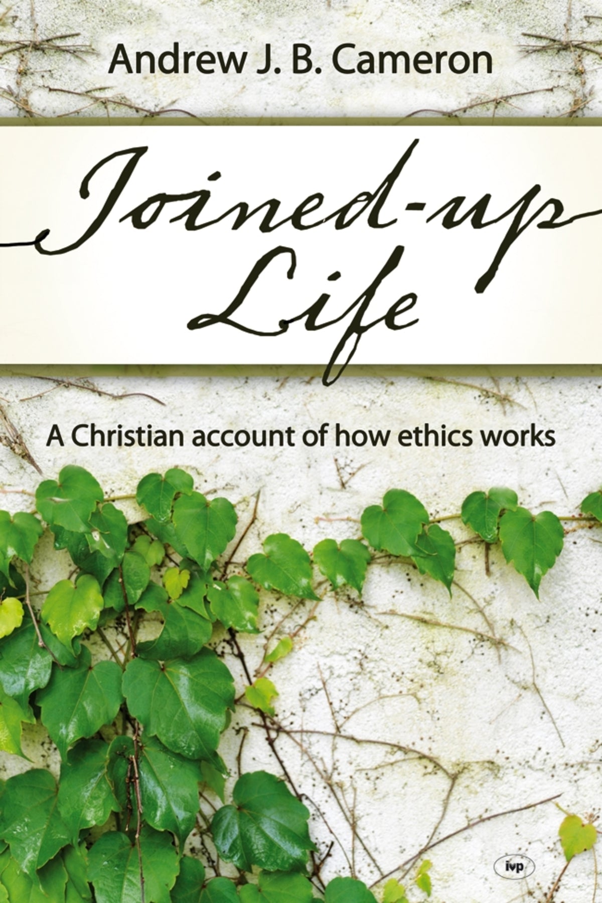 Cover image for Joined-up life ISBN 9781844745159