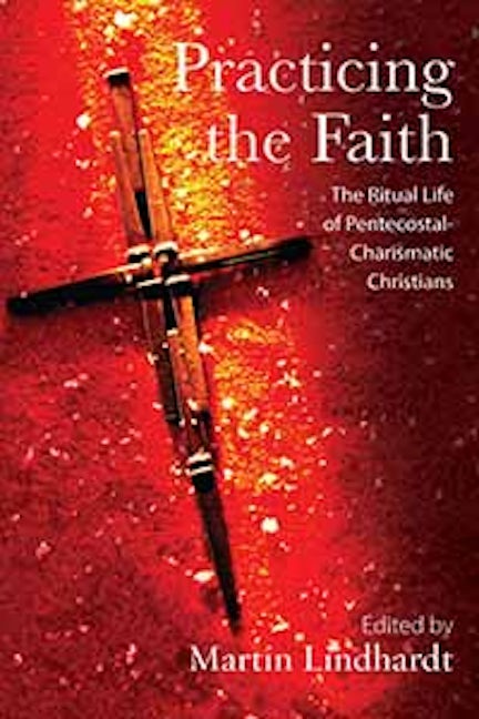 Book cover image for Practicing the Faith ISBN: 9781845457709