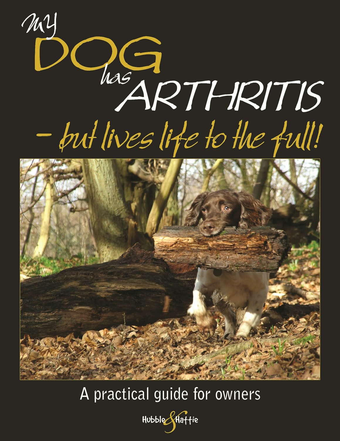 Book cover image for My dog has arthritis ISBN: 9781845844189