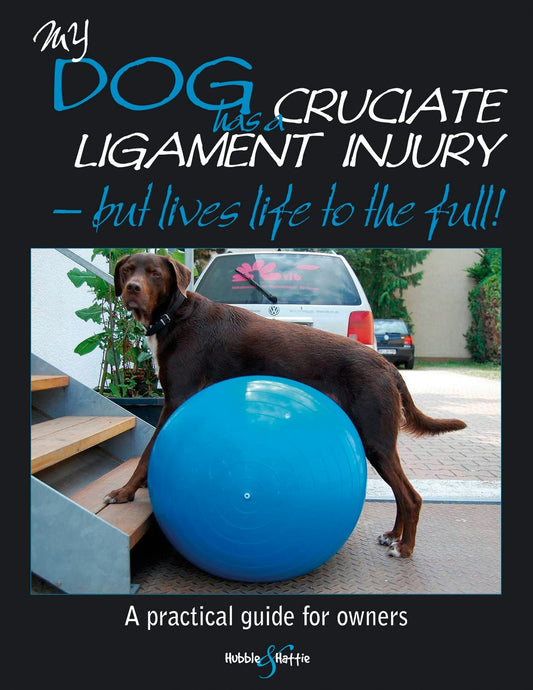 My dog has cruciate ligament injury – but lives life to the full!