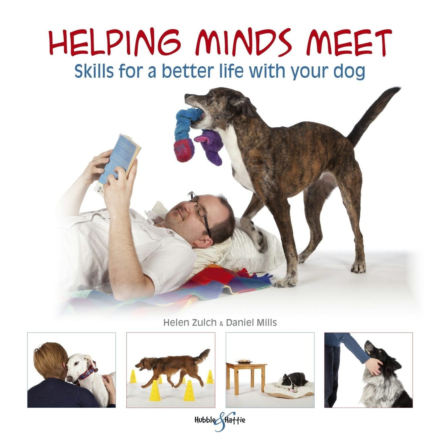 Book cover image for Helping minds meet ISBN: 9781845848392