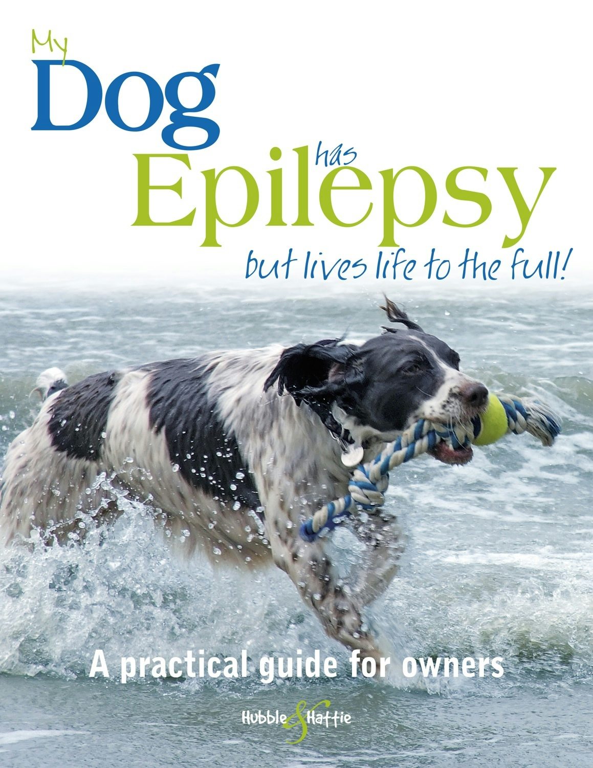 Book cover image for My dog has epilepsy ... ISBN: 9781845848453