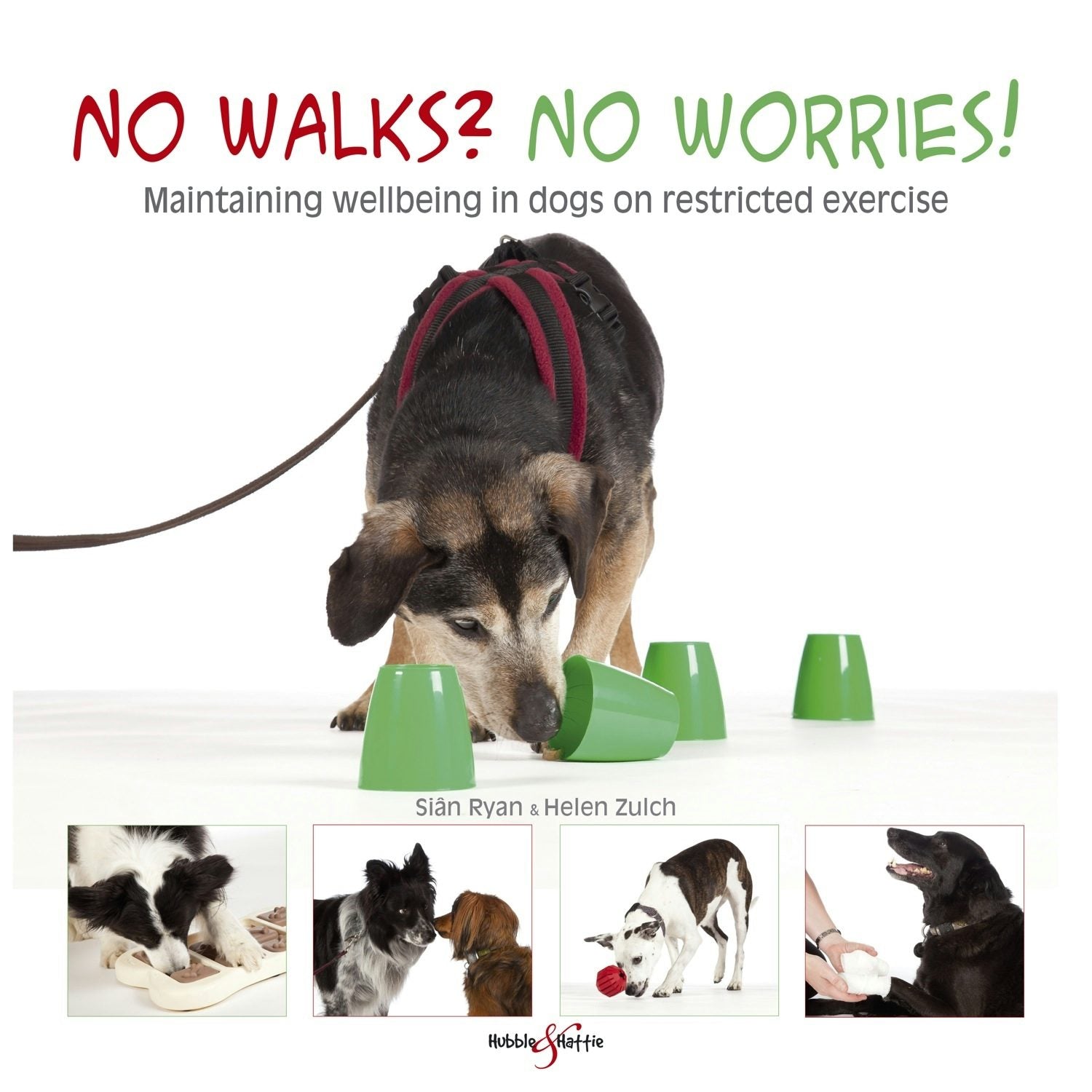 Book cover image for No walks? No worries! ISBN: 9781845848460