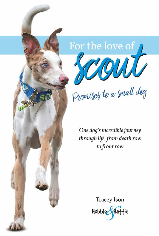 For the love of Scout