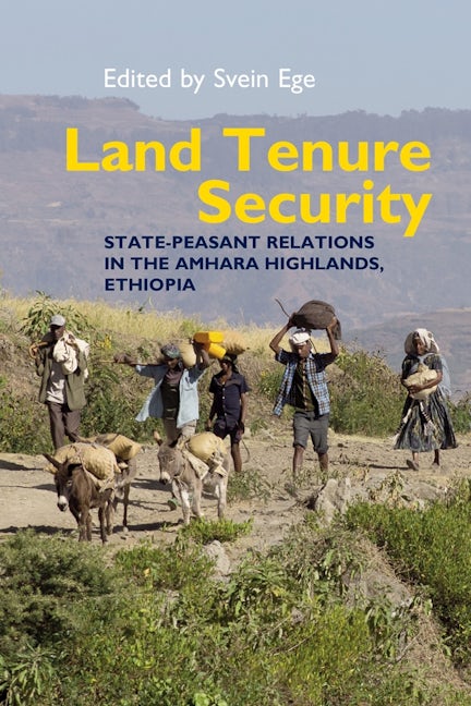 Book cover image for Land Tenure Security ISBN: 9781847012241