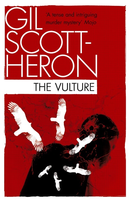 Book cover image for The Vulture ISBN: 9781847678836