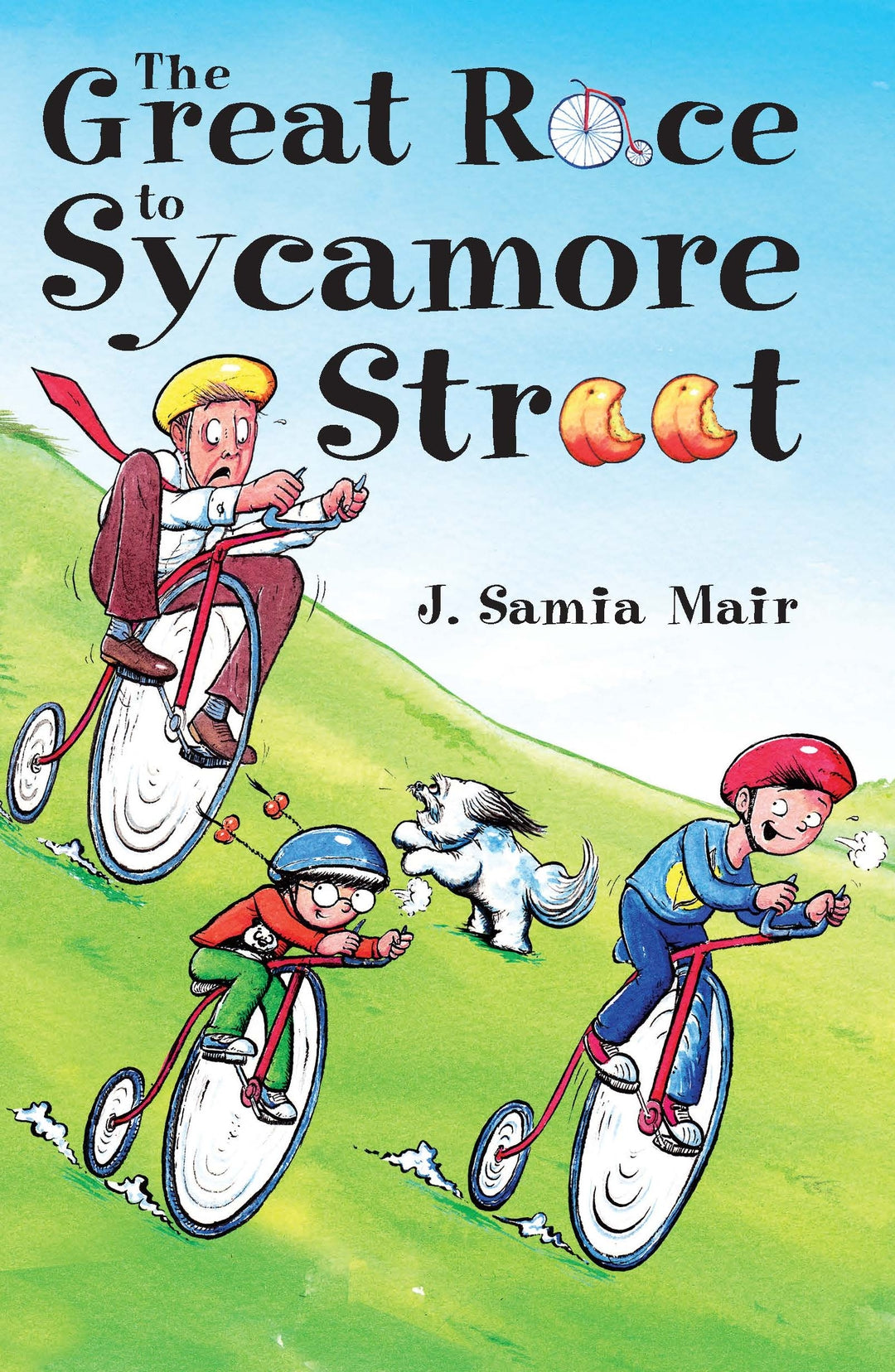 Cover image for The Great Race to Sycamore Street ISBN 9781847740632