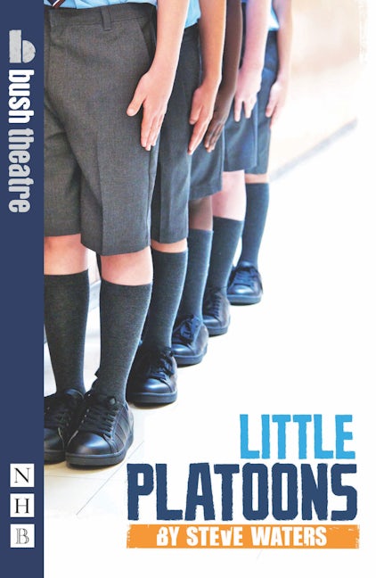 Book cover image for Little Platoons ISBN: 9781848421516