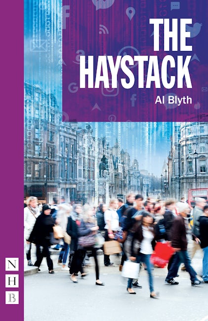 Book cover image for The Haystack ISBN: 9781848429086