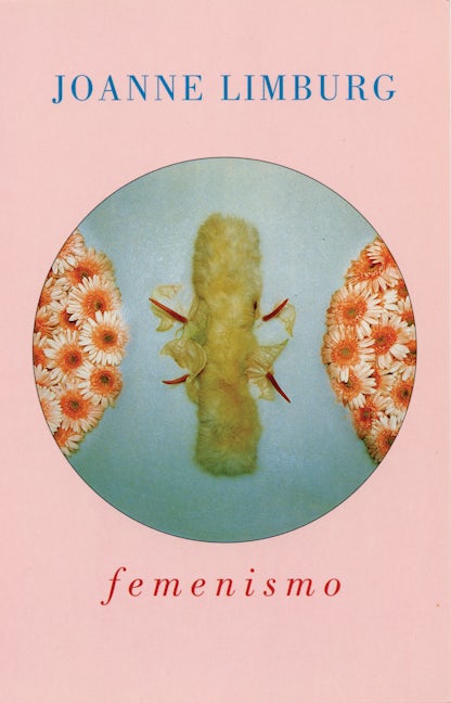 Book cover image for Femenismo ISBN: 9781852245405