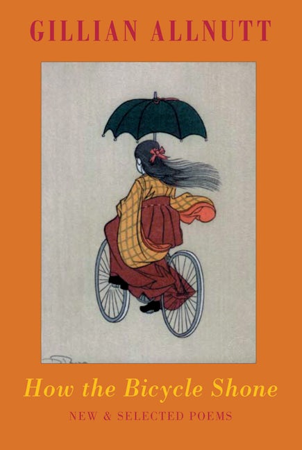 Book cover image for How the Bicycle Shone ISBN: 9781852247591
