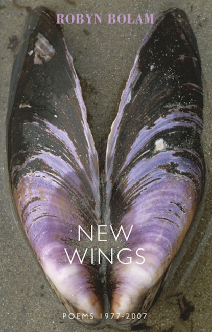 Book cover image for New Wings ISBN: 9781852247782