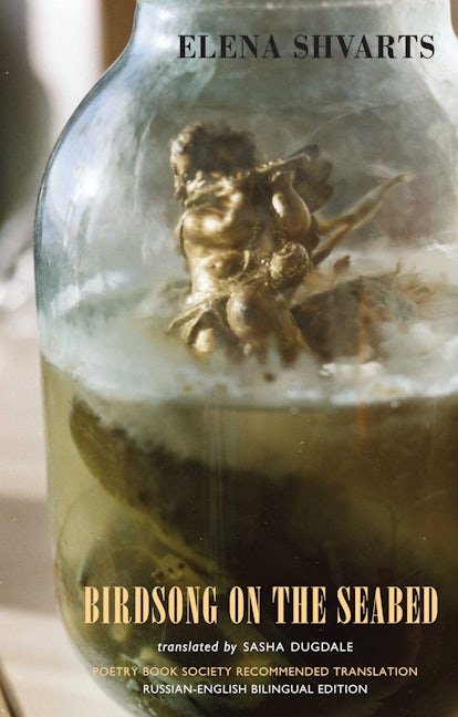 Book cover image for Birdsong on the Seabed ISBN: 9781852247836