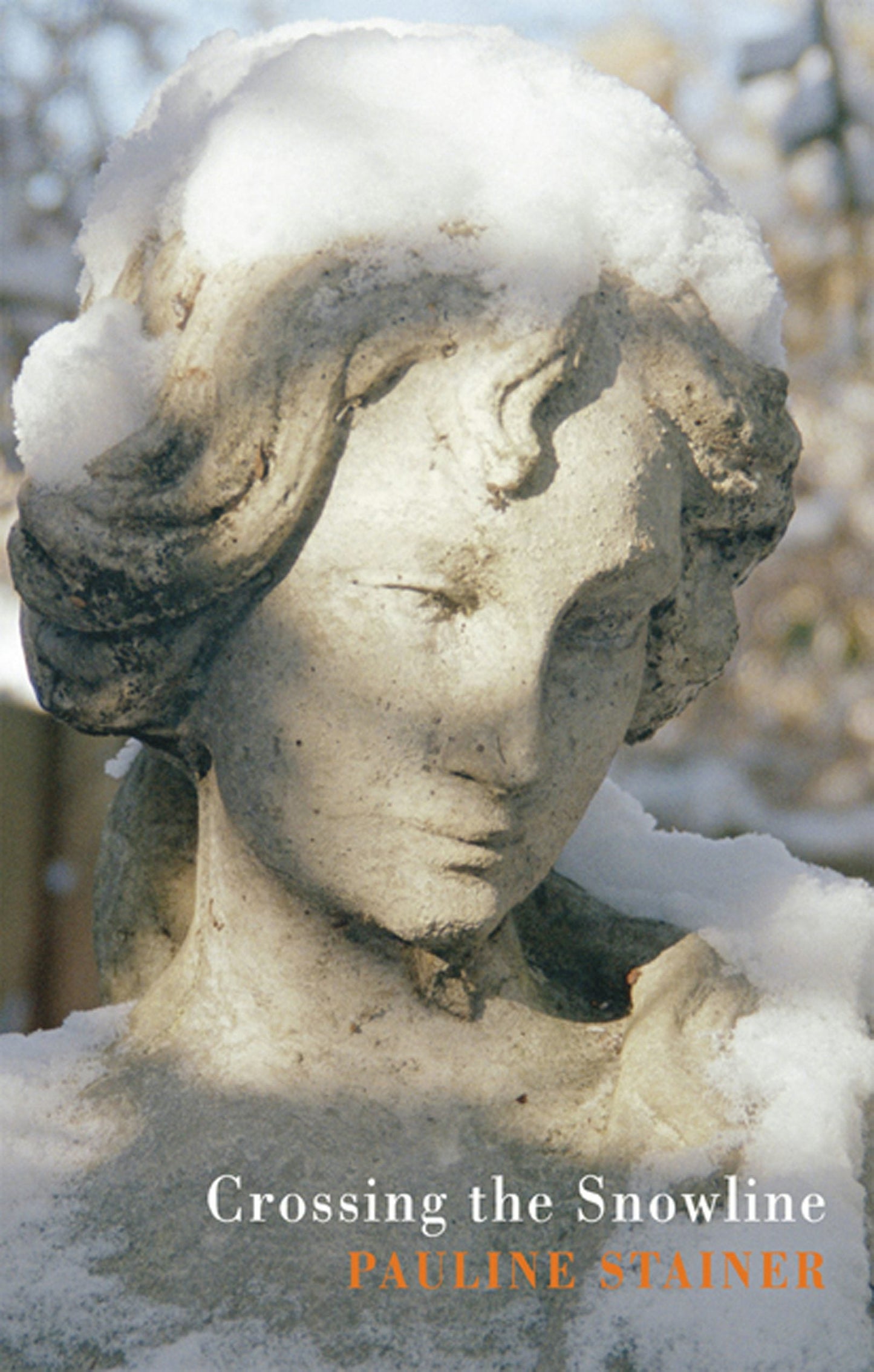 Book cover image for Crossing the Snowline ISBN: 9781852248123