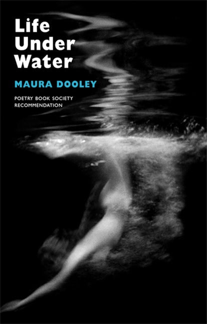 Book cover image for Life under Water ISBN: 9781852248178