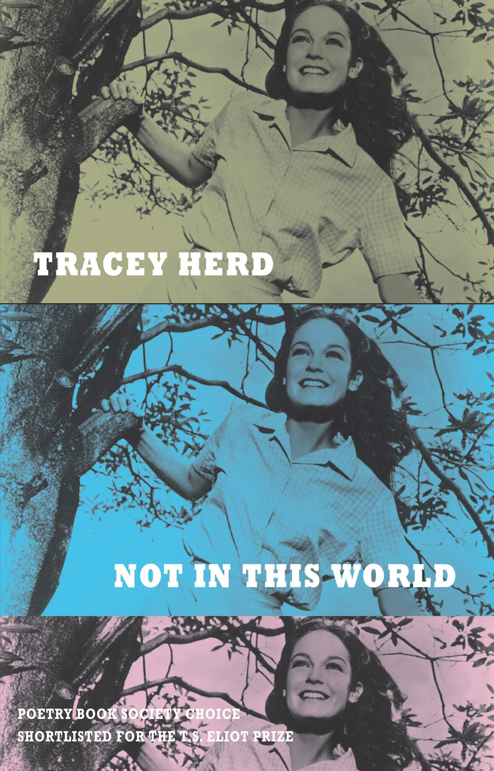 Book cover image for Not in This World ISBN: 9781852248949