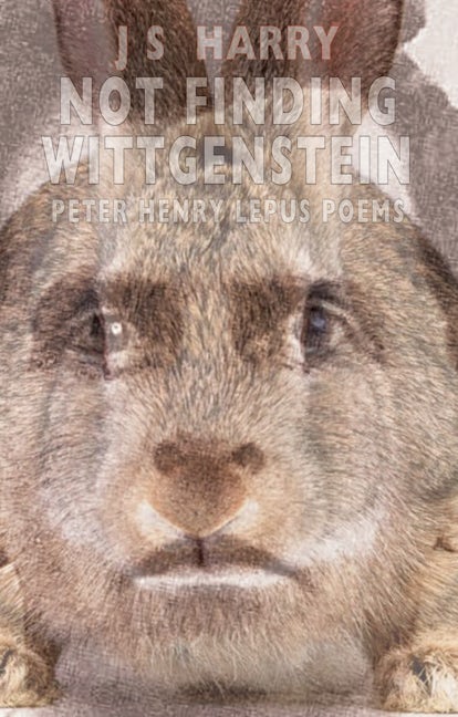 Book cover image for Not Finding Wittgenstein ISBN: 9781852249281
