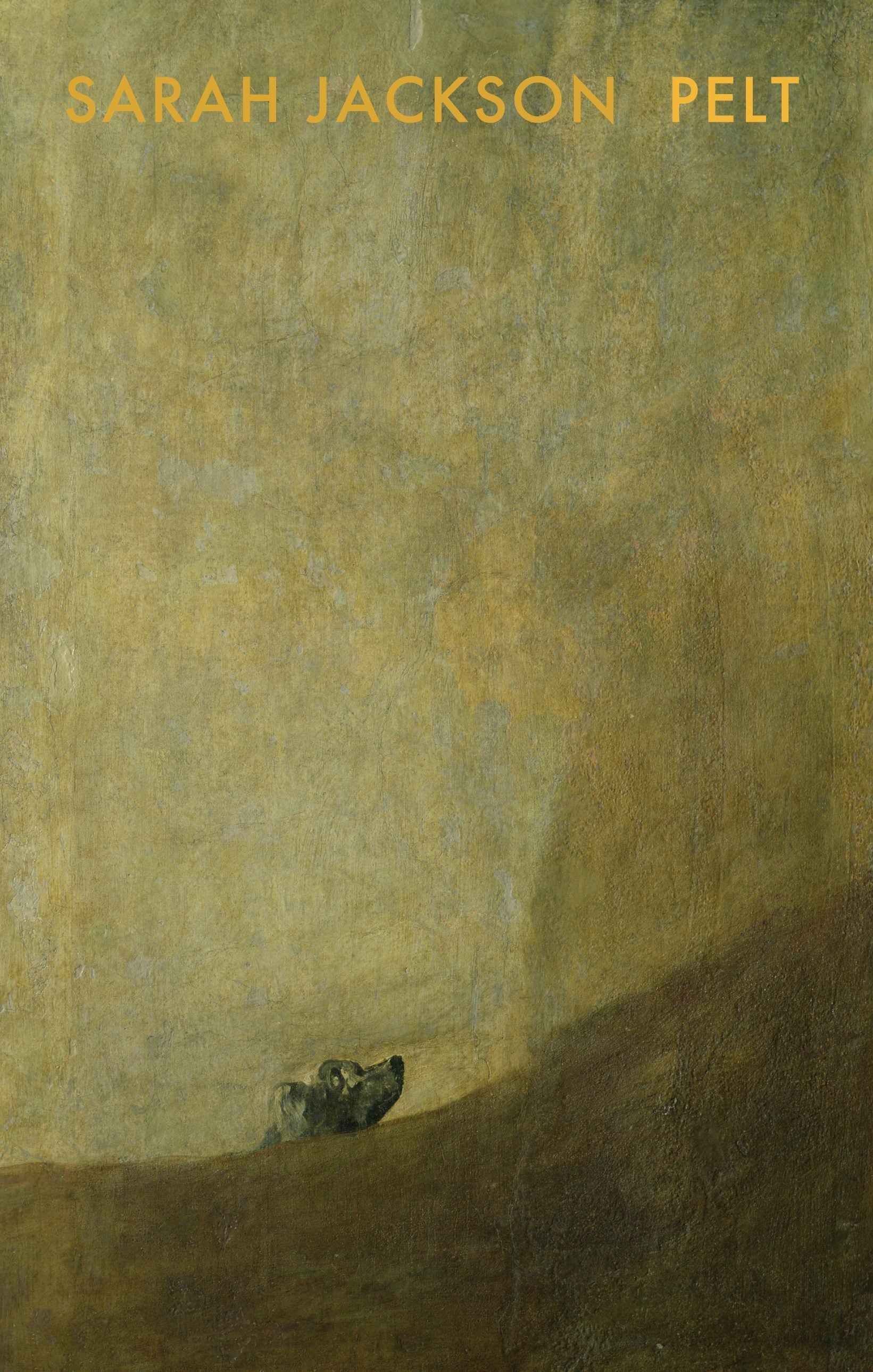 Book cover image for Pelt ISBN: 9781852249311