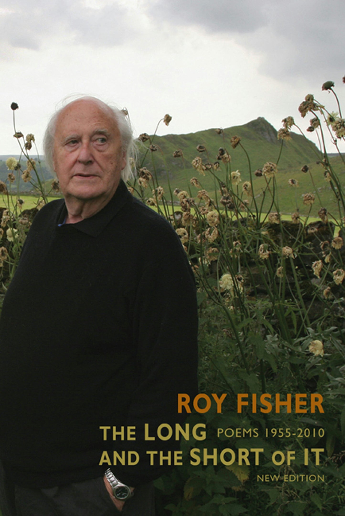 Book cover image for The Long and the Short of It ISBN: 9781852249595
