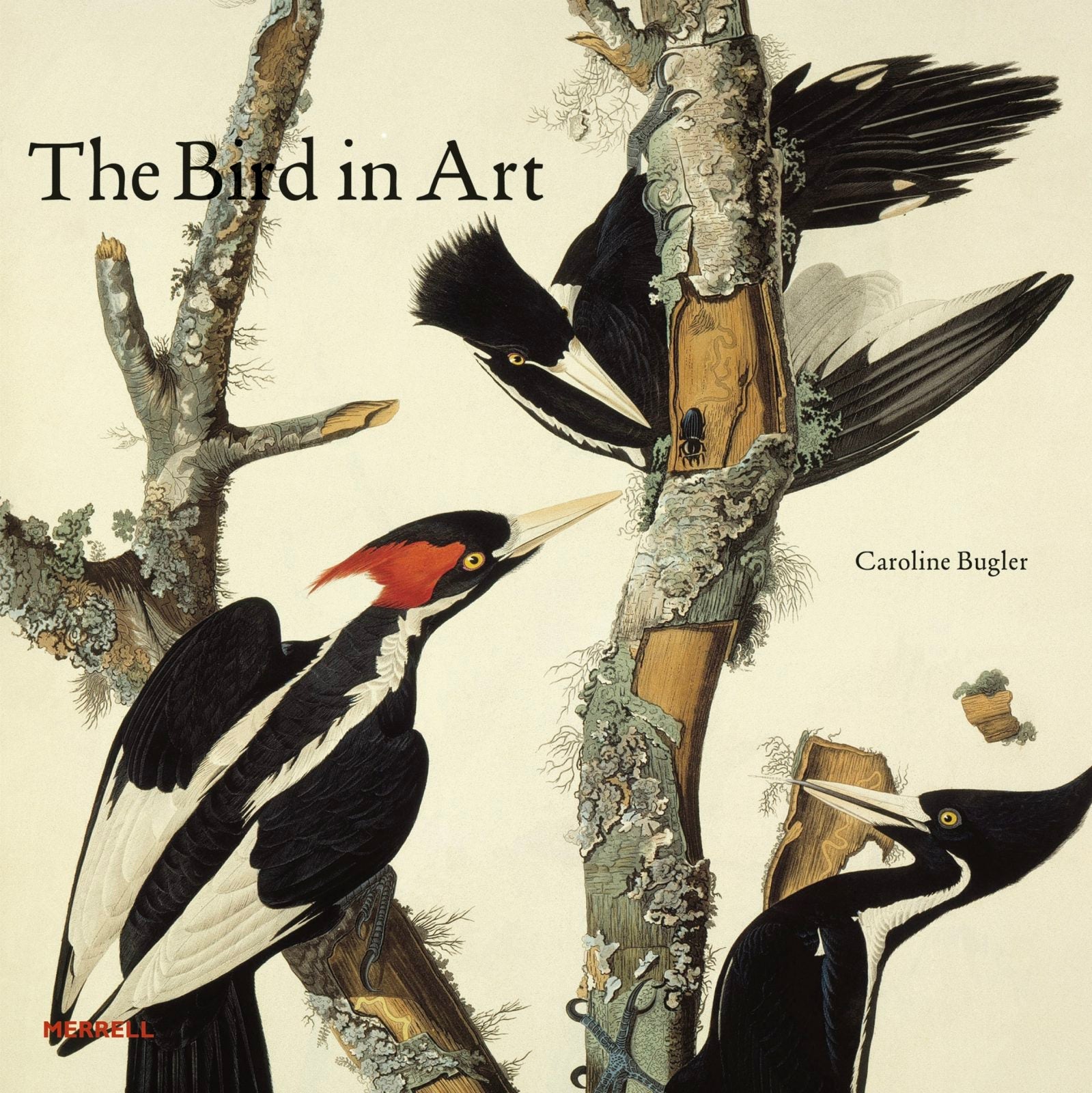 Book cover image for The Bird in Art ISBN: 9781858945682