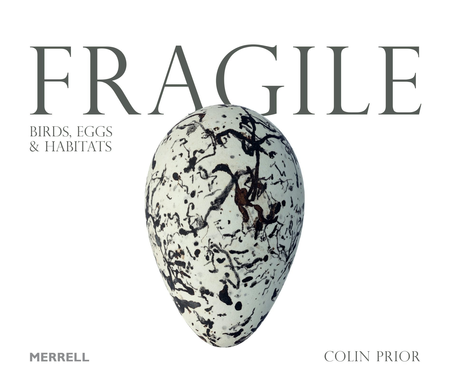 Book cover image for Fragile: Birds, Eggs and Habitats ISBN: 9781858946887
