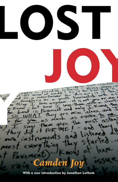 Cover image for Lost Joy, isbn: 9781891241765