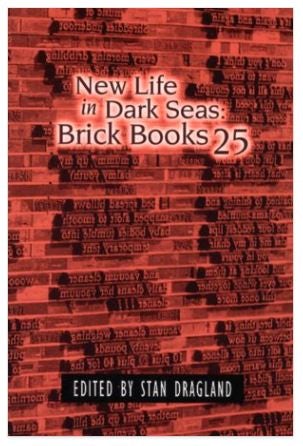 Book cover image for New Life in Dark Seas ISBN: 9781894078108
