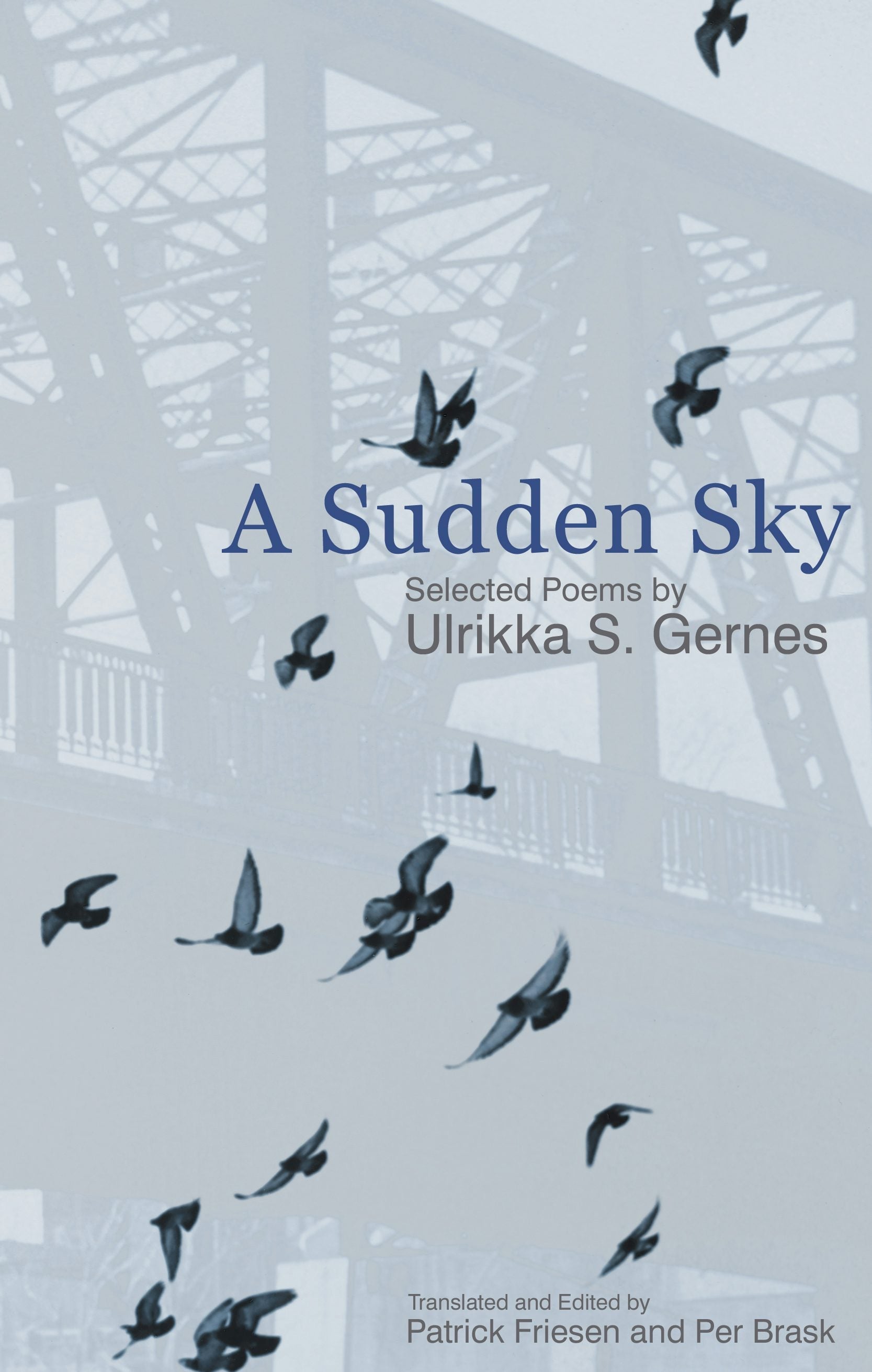 Book cover image for A Sudden Sky ISBN: 9781894078184