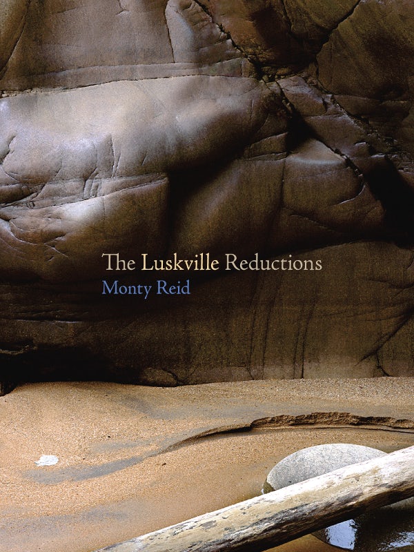 Book cover image for The Luskville Reductions ISBN: 9781894078658