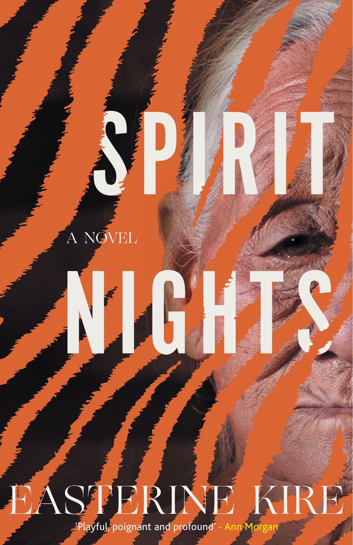 Cover image for Spirit Nights ISBN 9781909954540