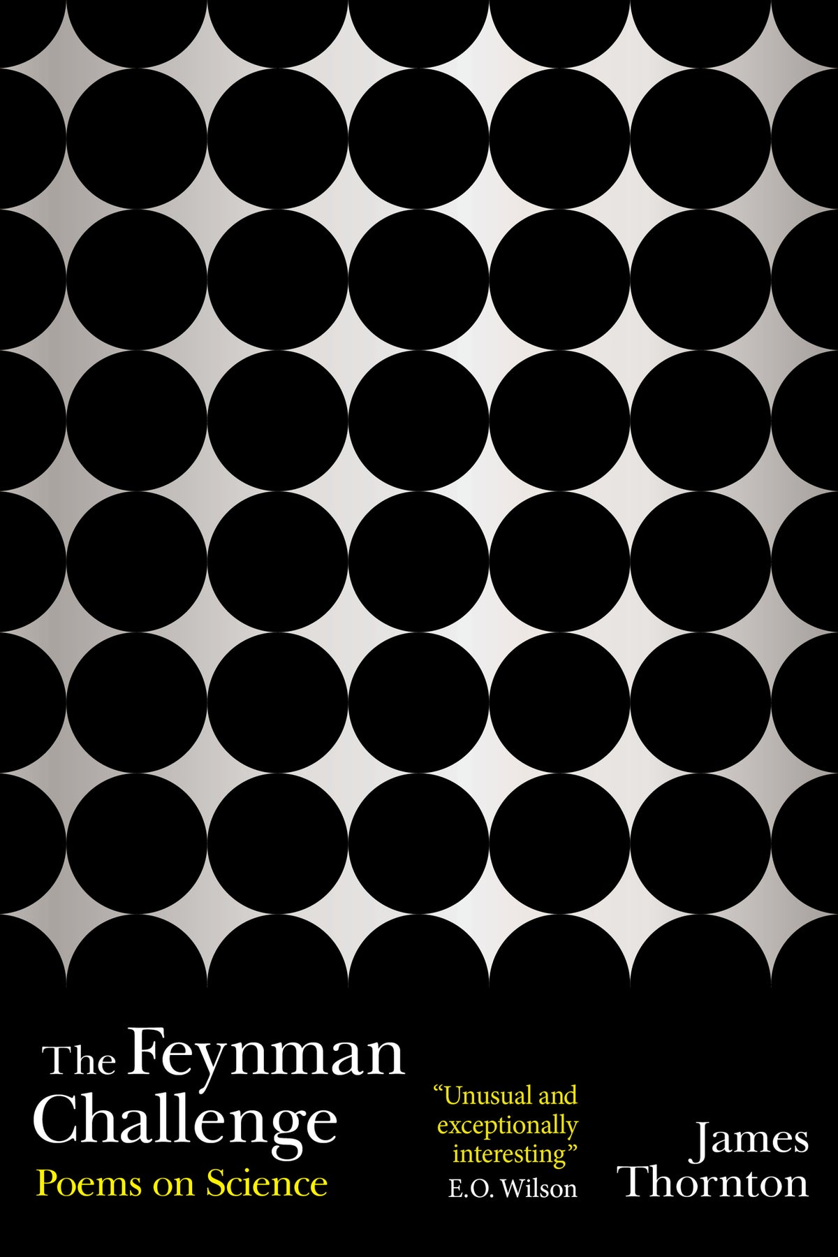 Cover image for The Feynman Challenge ISBN 9781909954892
