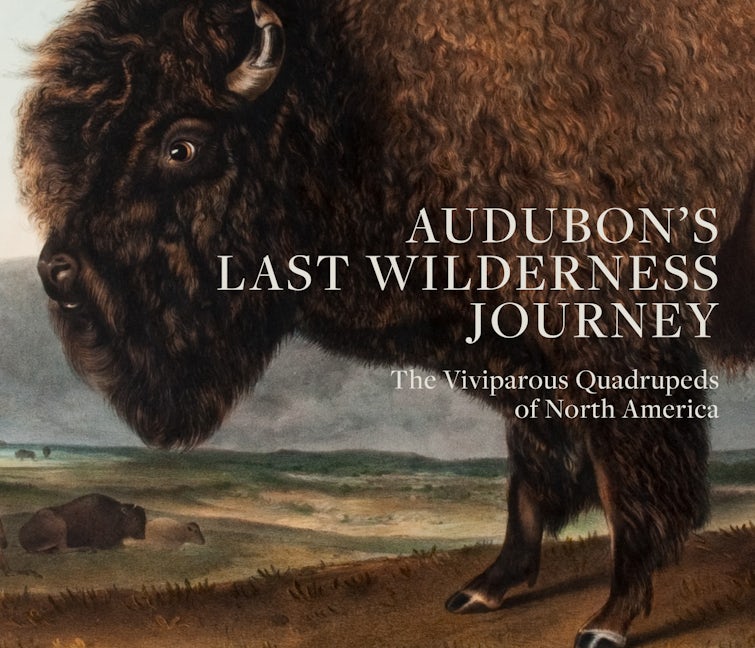 Book cover image for Audubon's Last Wilderness Journey ISBN: 9781911282105