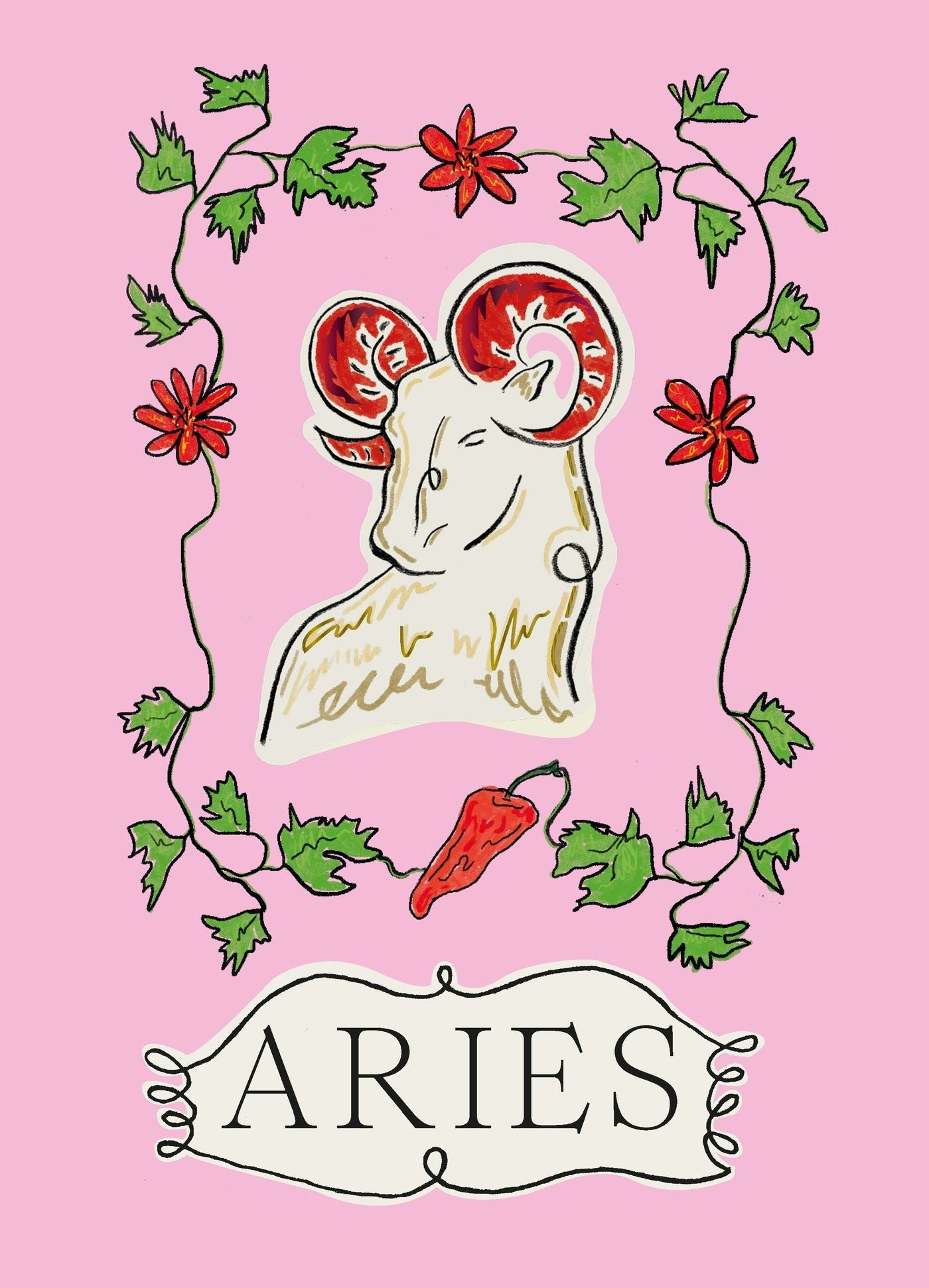 Book cover image for Aries ISBN: 9781914317934