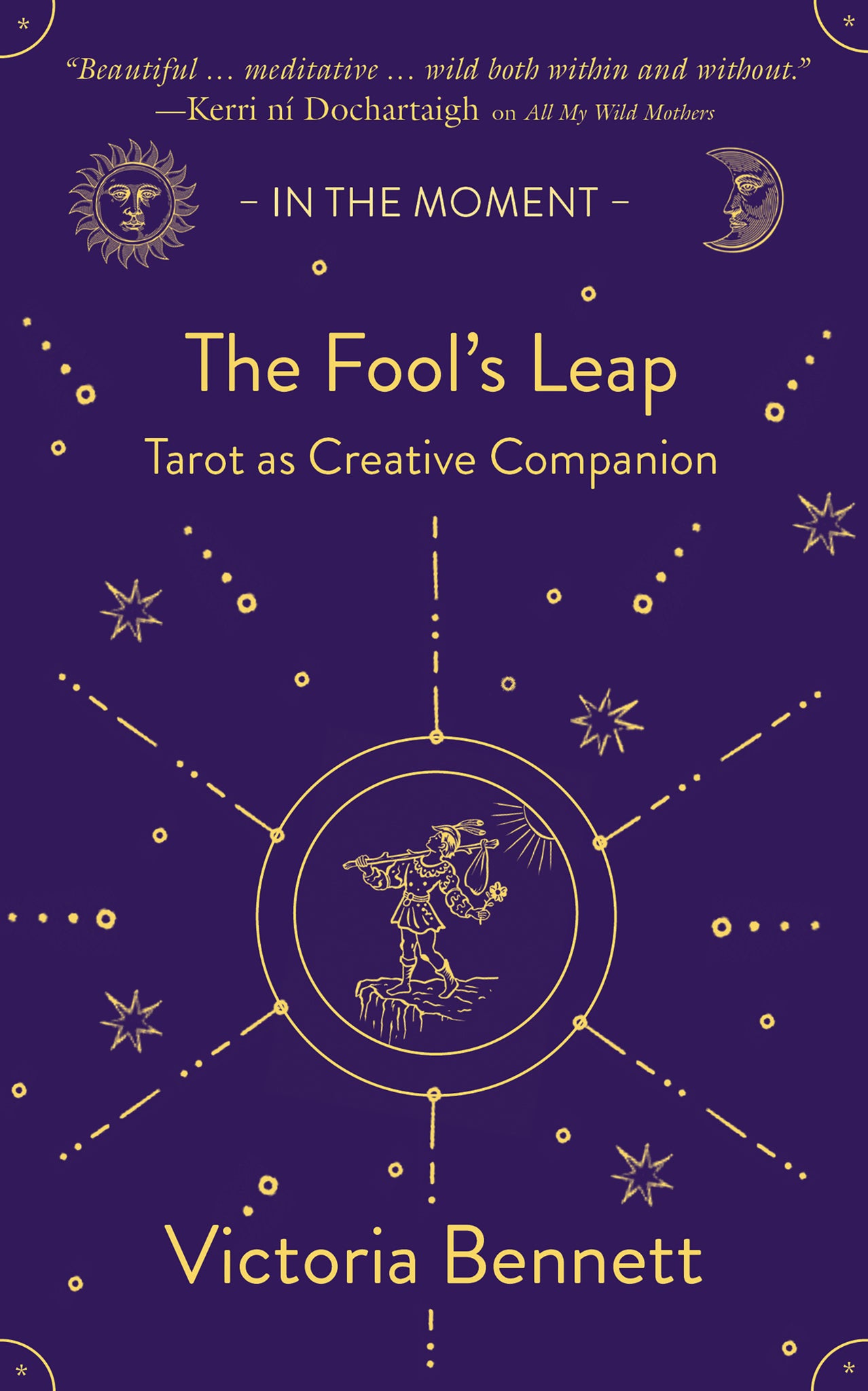 Cover image for The Fool’s Leap ISBN 9781916812734