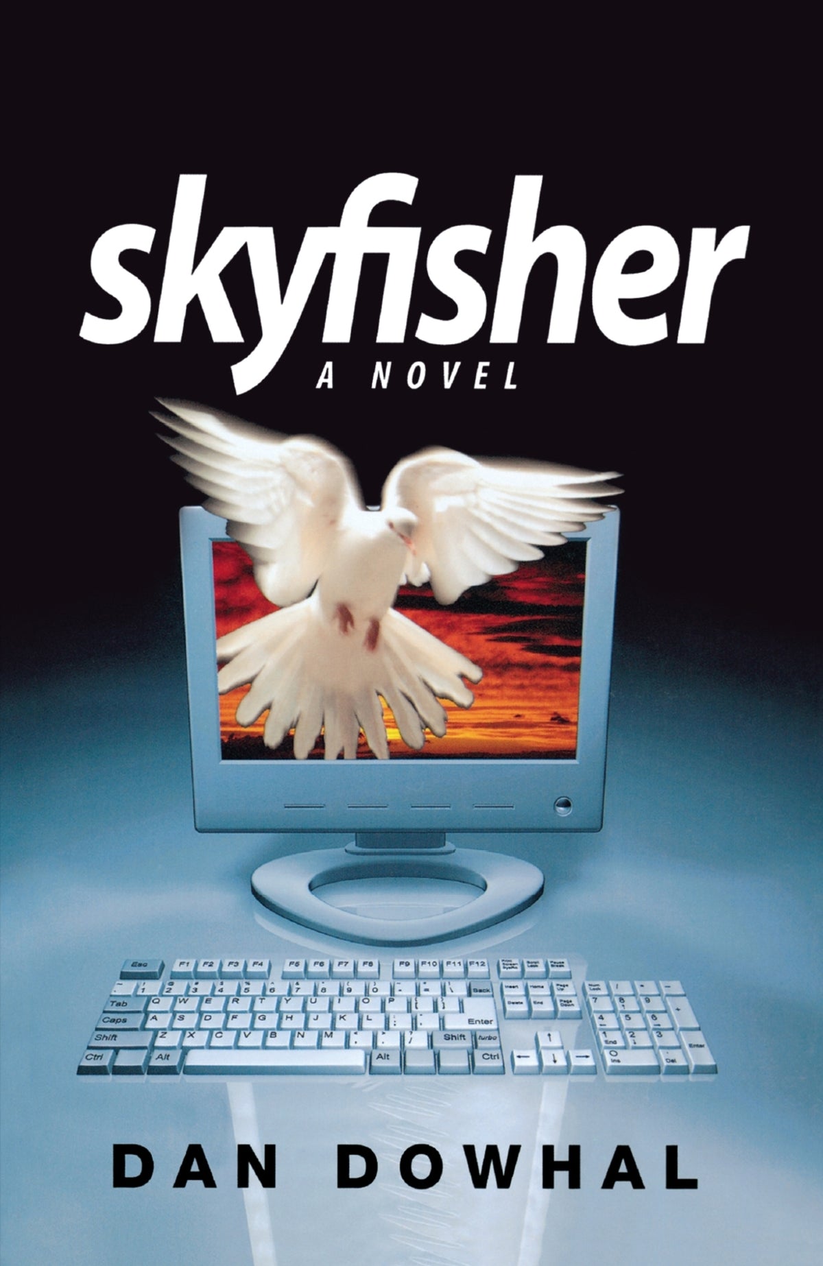 Cover image for Skyfisher ISBN 9781926577067