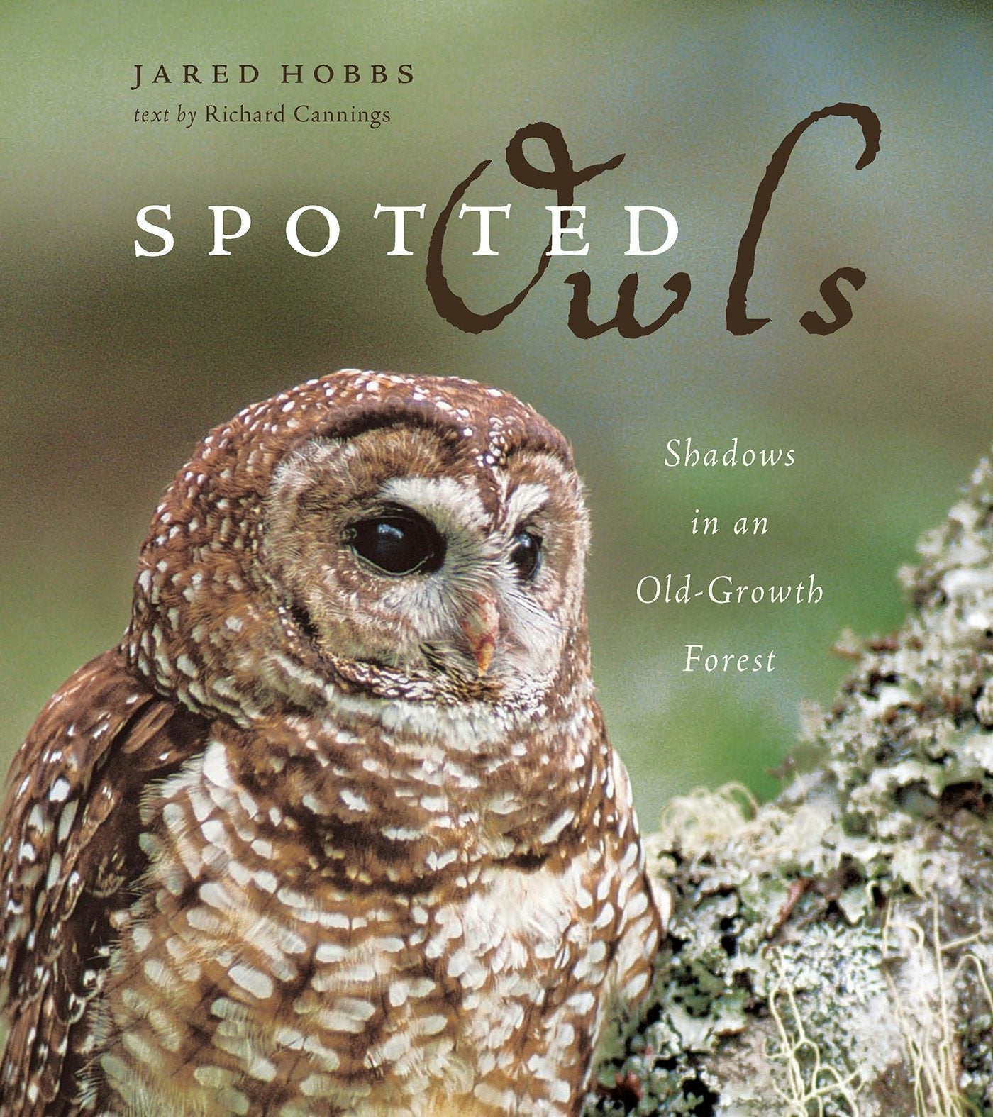 Book cover image for Spotted Owls ISBN: 9781926812403
