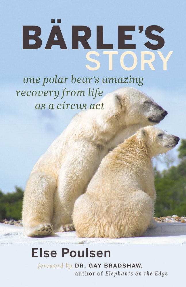 Book cover image for Barle's Story ISBN: 9781926812878