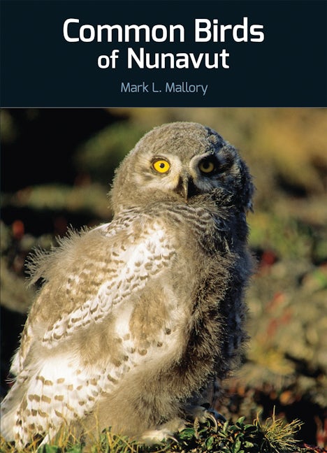 Book cover image for Common Birds of Nunavut ISBN: 9781927095669