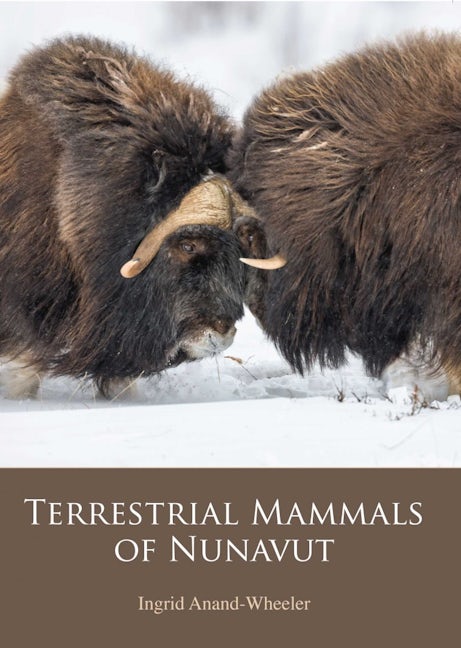 Book cover image for Terrestrial Mammals of Nunavut ISBN: 9781927095744