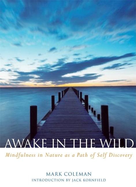 Book cover image for Awake in the Wild ISBN: 9781930722552