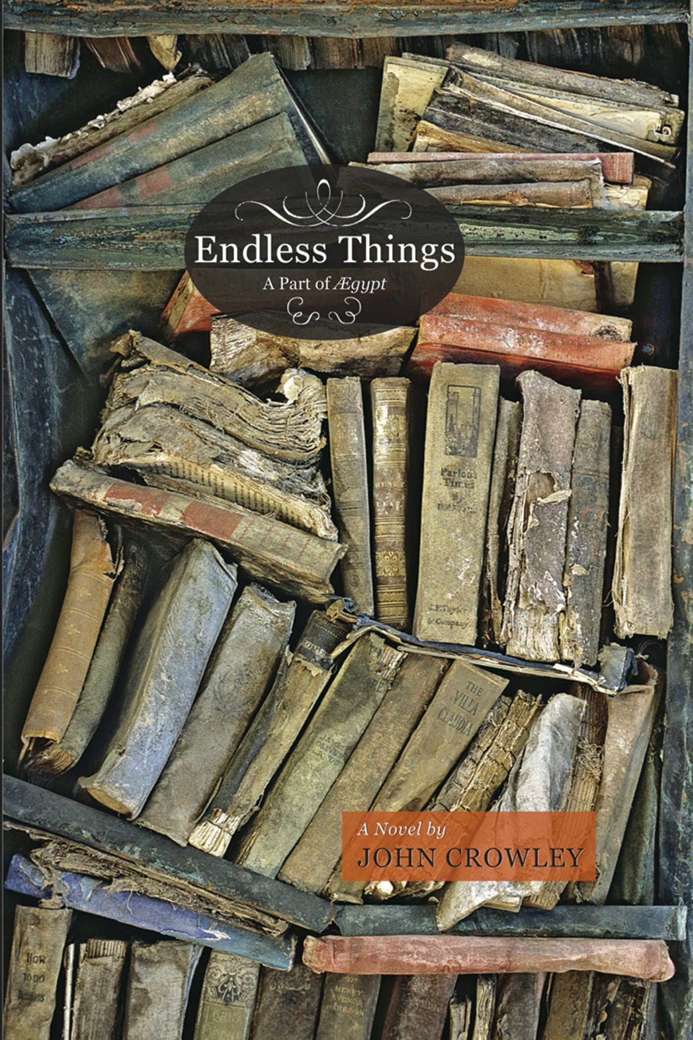 Book cover image for Endless Things ISBN: 9781931520225