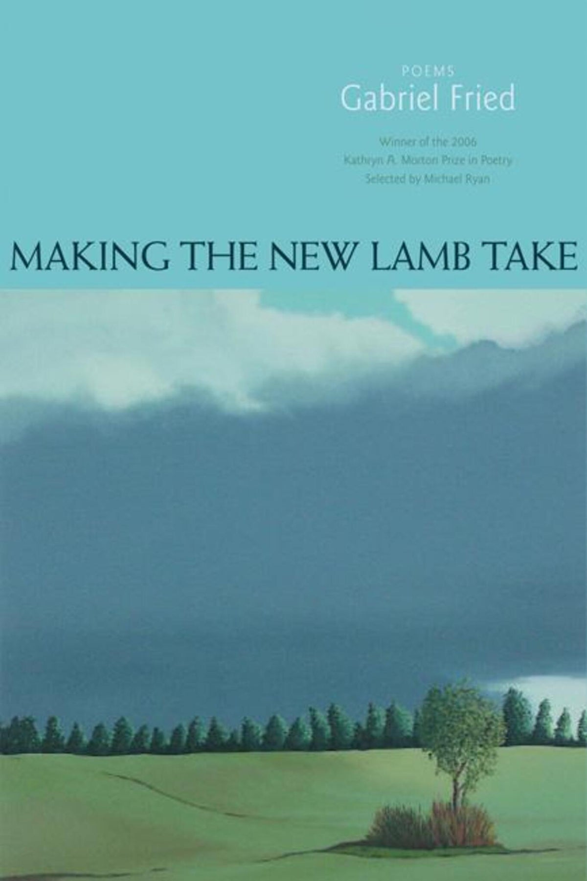 Cover image for Making the New Lamb Take ISBN 9781932511499