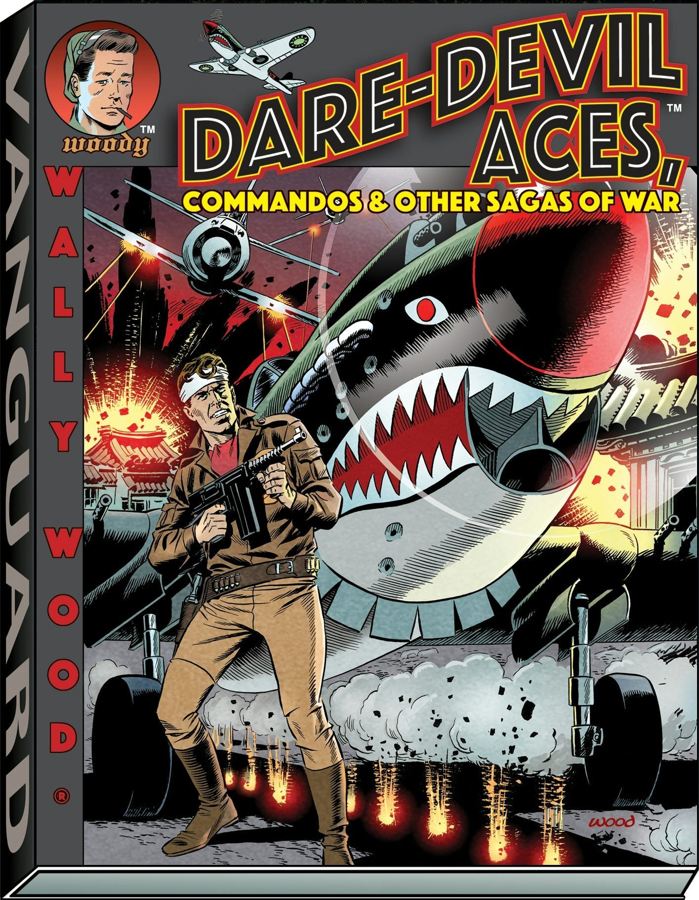 Book cover image for Wally Wood Dare-Devil Aces ISBN: 9781934331781