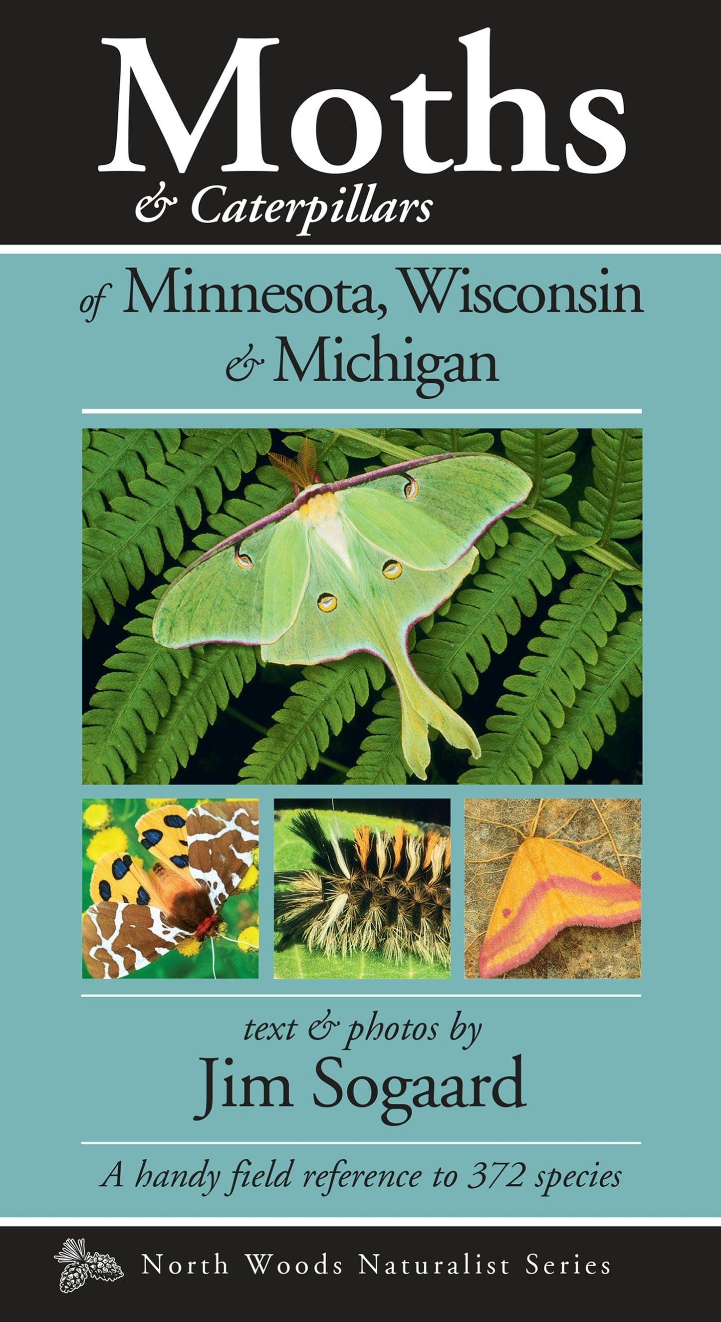 Book cover image for Moths & Caterpillars of Minnesota, Wisconsin & Michigan ISBN: 9781936571178